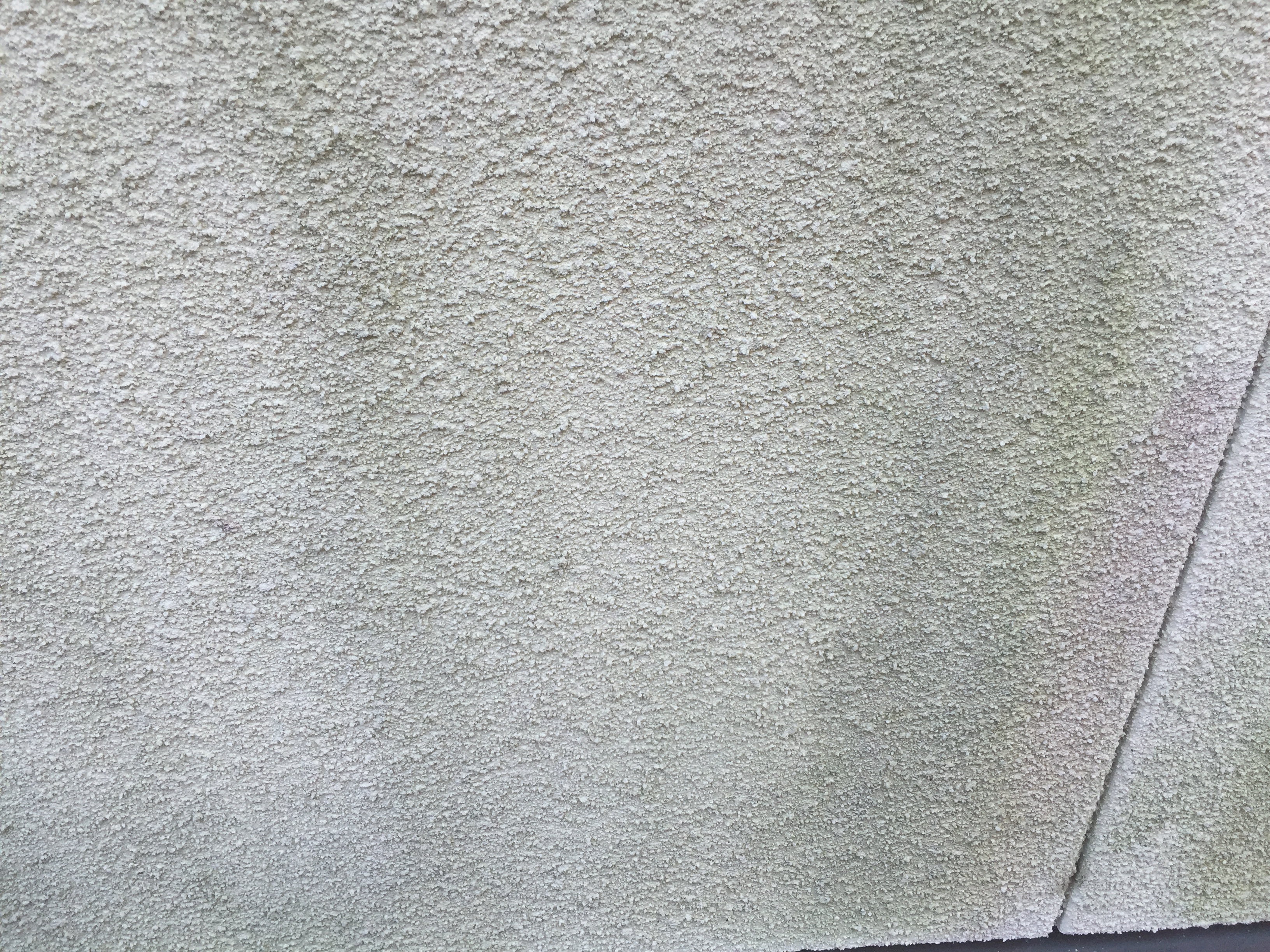 外壁の汚れ カビ コケ ガイソー富山店 住まいの外装リフォーム専門店